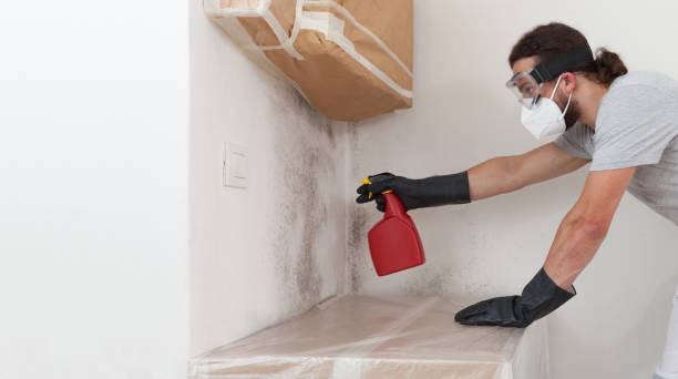 Professional Commercial Mold Remediation technician working in Greenville, MI