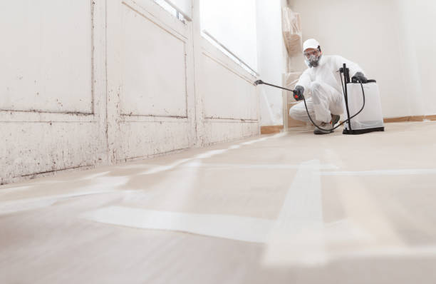 24/7 Emergency Commercial Mold Remediation experts in Greenville, MI