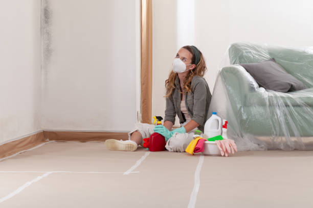 Reliable Commercial Mold Remediation contractor in Greenville, MI by WQB Mold Removal